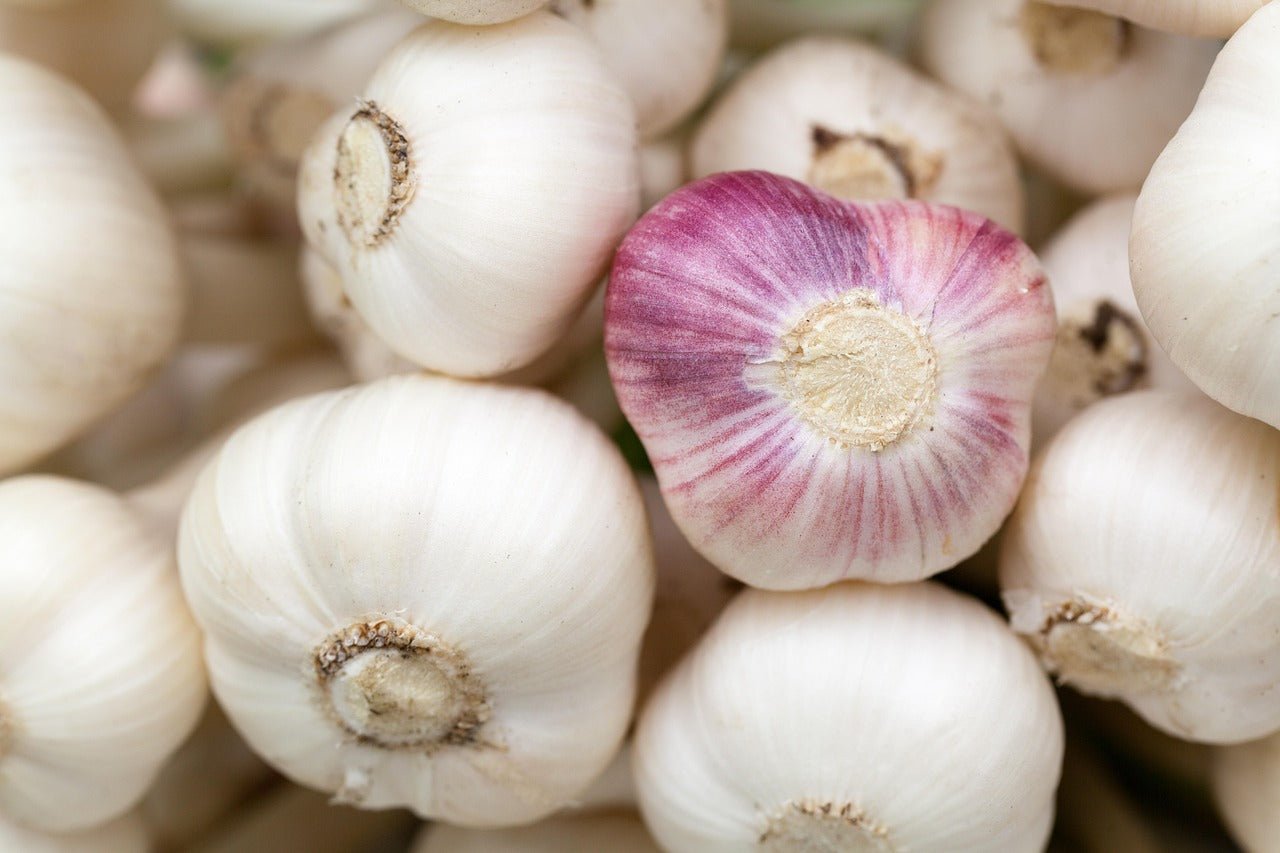 Ancient Herbs, Foods, and Diet for Heart Health - Lemongrass Farms