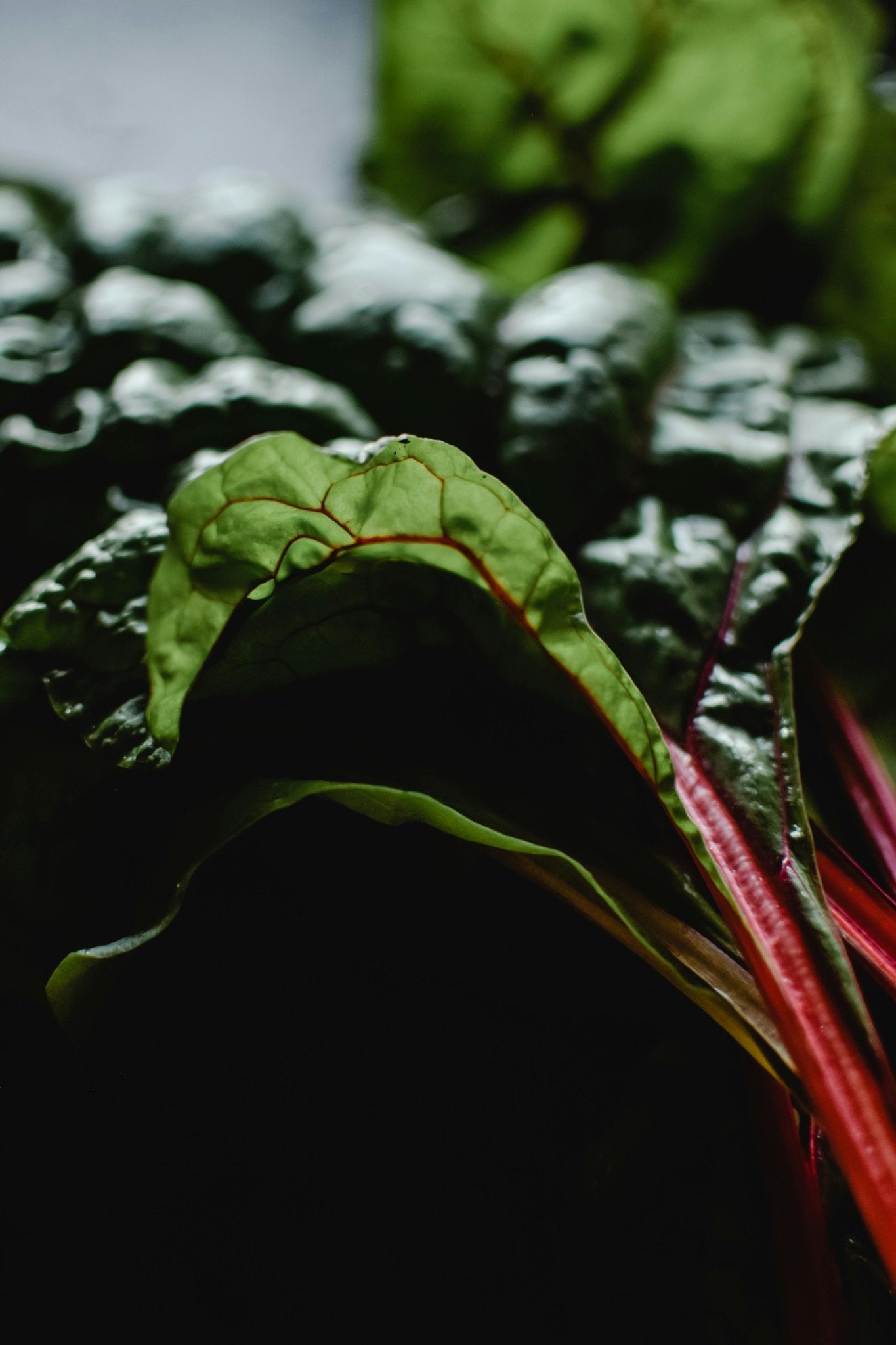 The Overlooked Mineral That Could Be Your Secret Weapon Against Cancer - Lemongrass Farms