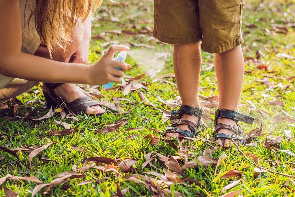 Cruelty-Free and Sustainable: The Values Behind Our Fly Repellent - Lemongrass Farms