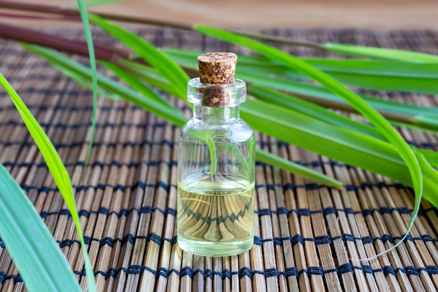 lemon grass essential oil