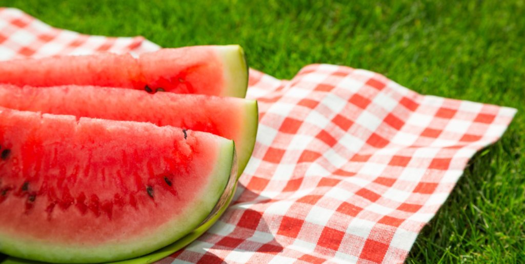 Picnics Without Pests: Hosting Outdoor Gatherings with Lemongrass Farms - Lemongrass Farms